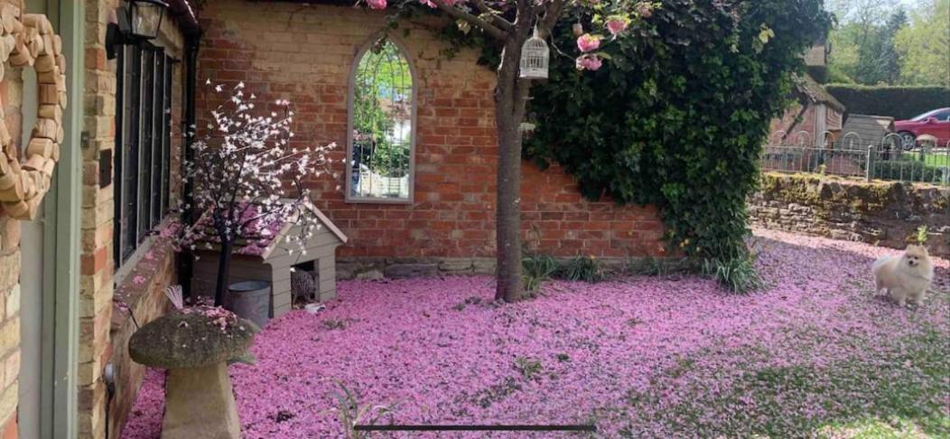 Piglet Cottage Pebworth Eksteriør bilde